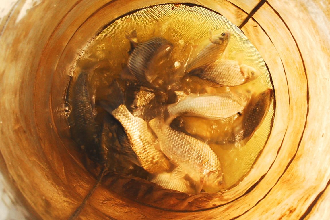 �ٹ̱�_DSC_0020.JPG
