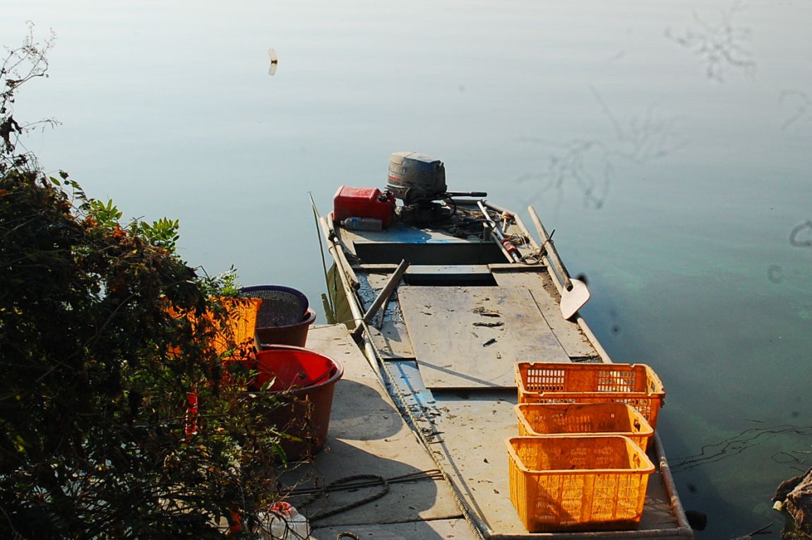 �ٹ̱�_DSC_0024.JPG