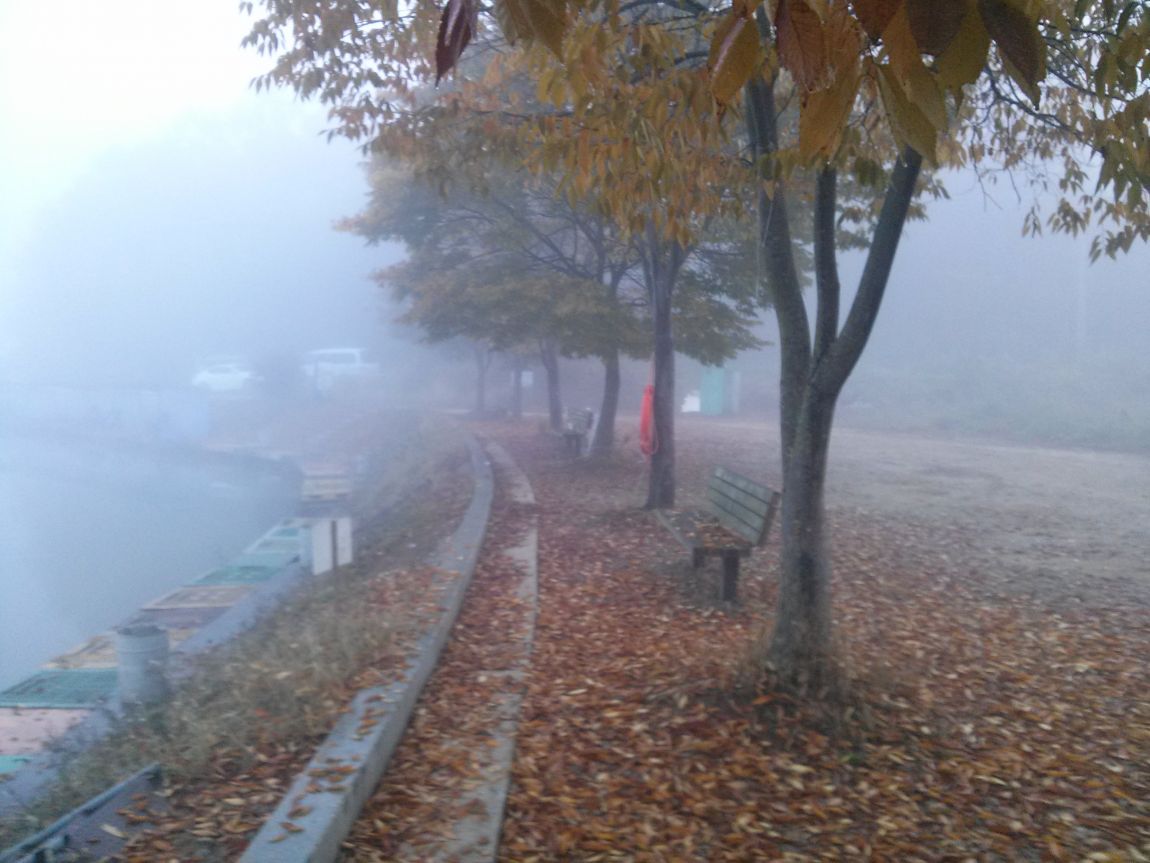 CAM03418.jpg
