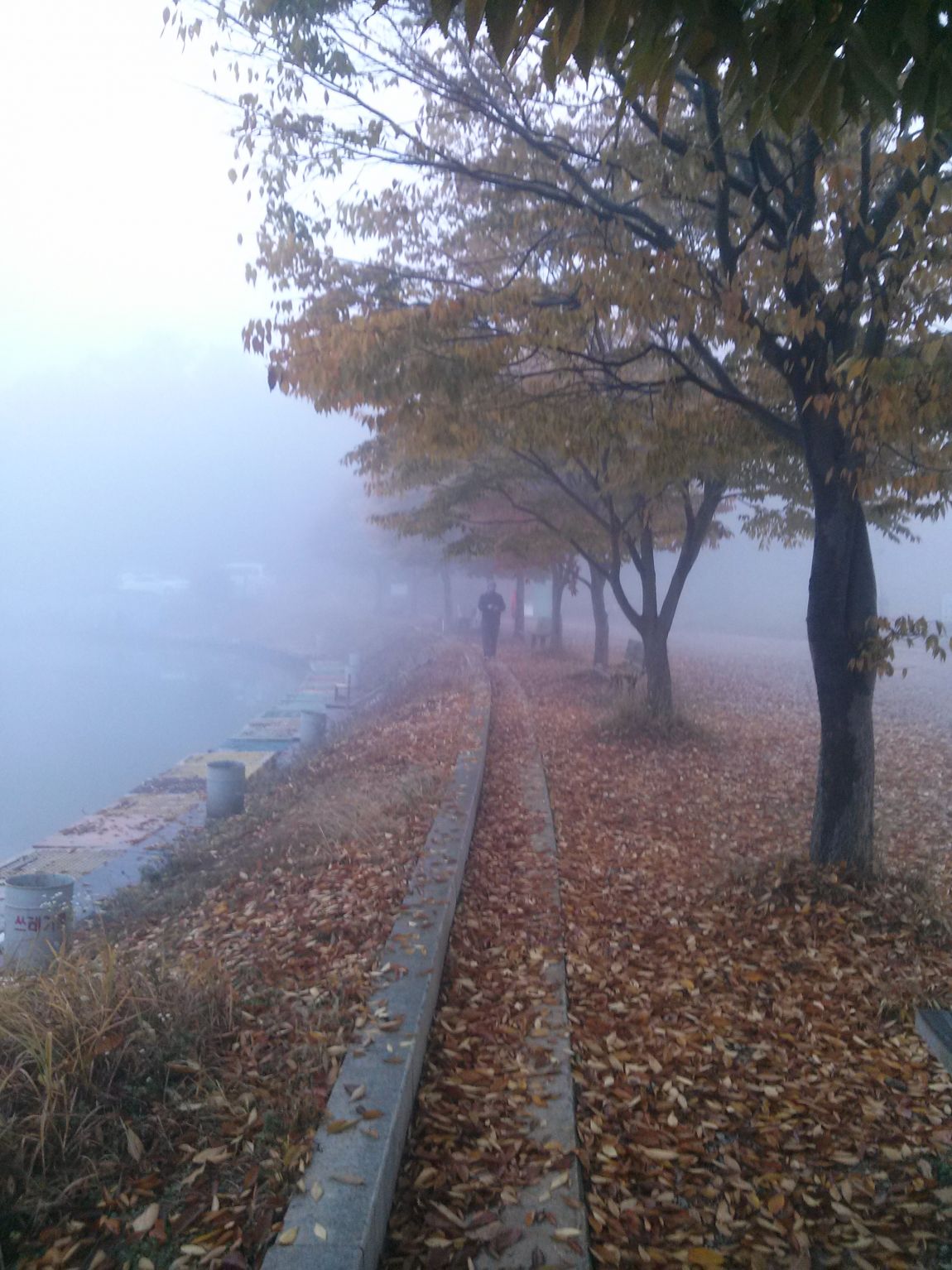 CAM03419.jpg