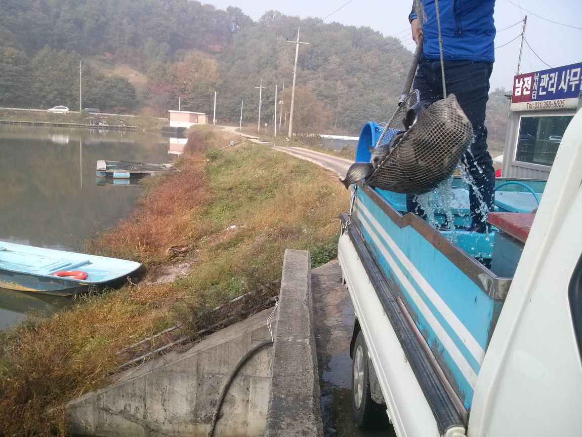 CAM03432.jpg