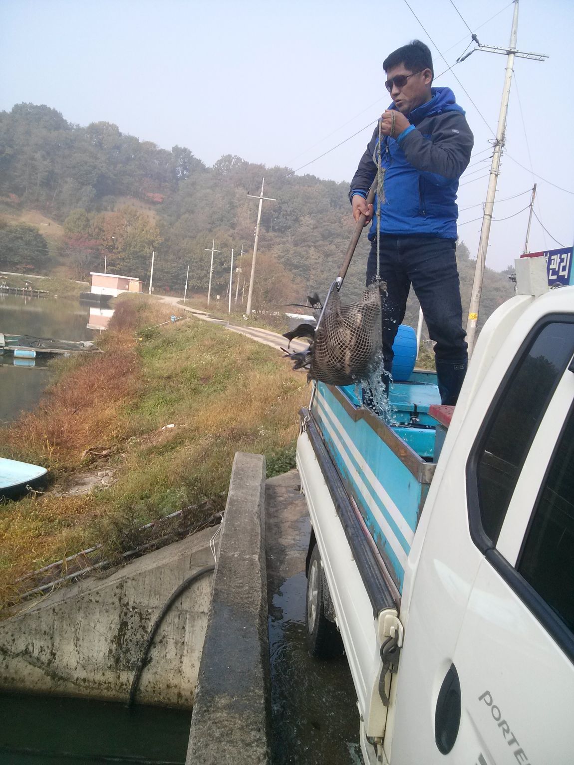 CAM03436.jpg