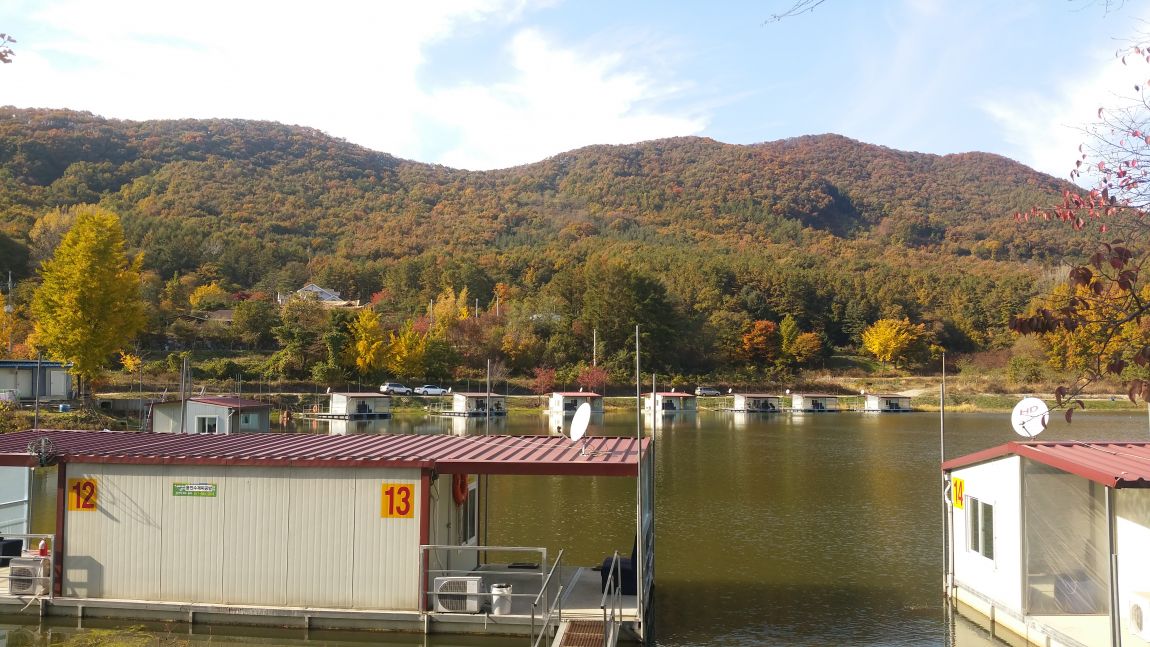 20141027_142601.jpg