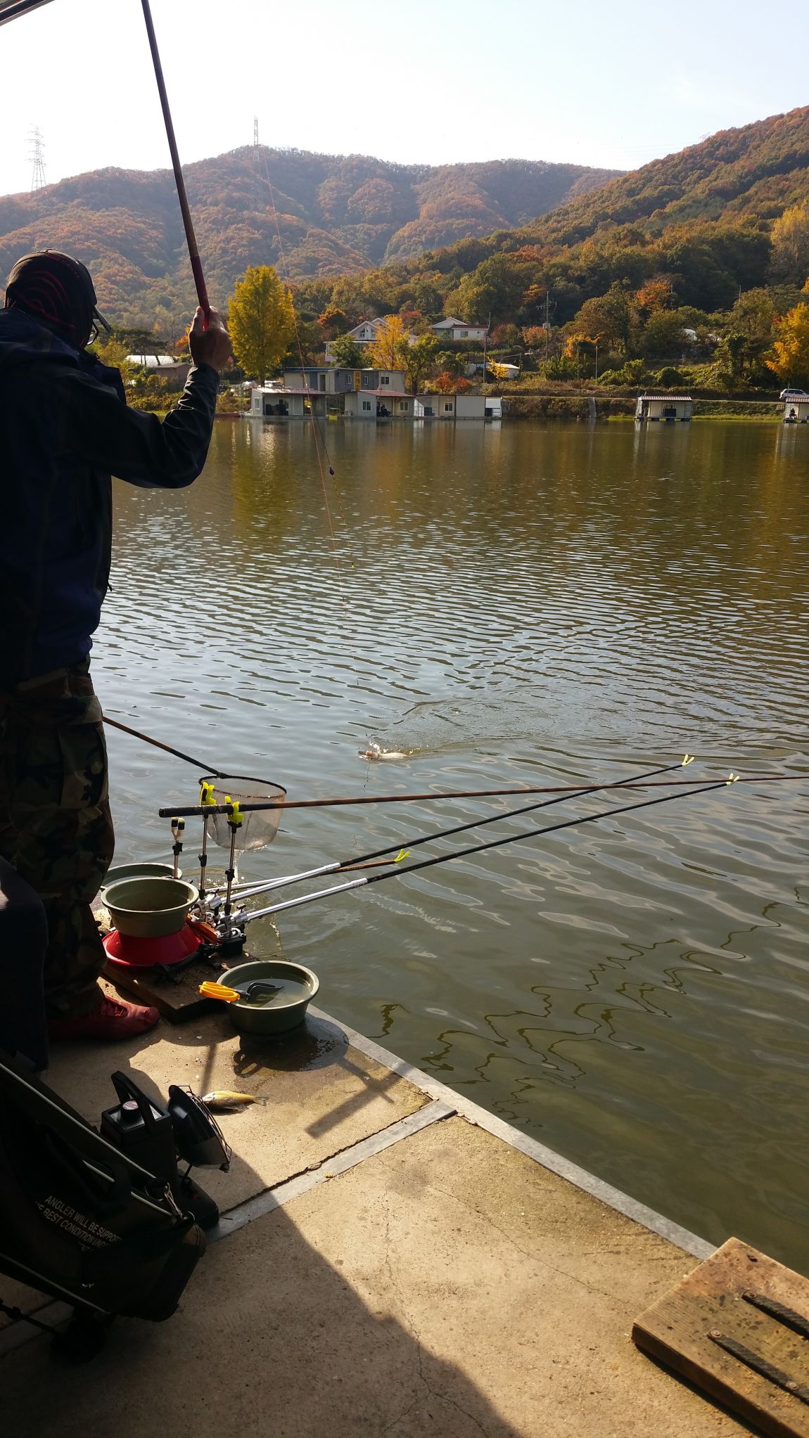 20141027_143054.jpg