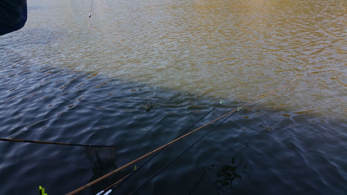 20141027_102814.jpg