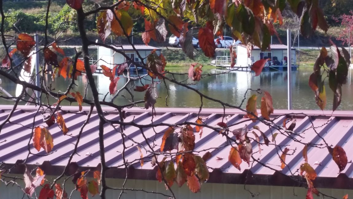 20141027_142808.jpg