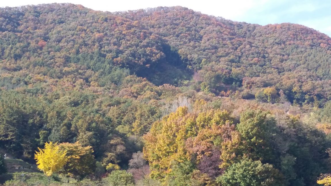 20141027_143453.jpg