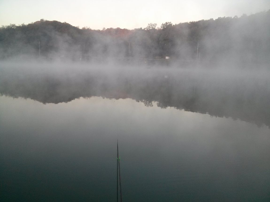 CAM03462.jpg