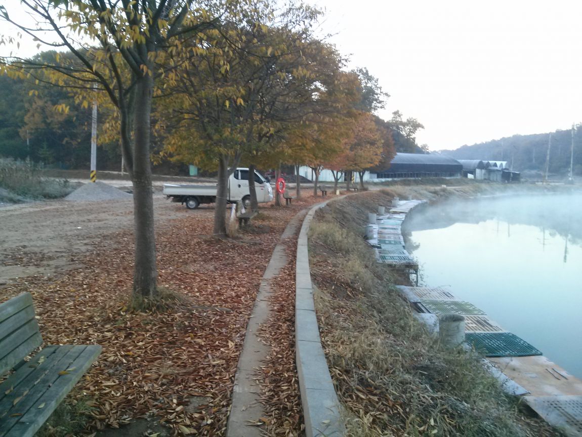 CAM03466.jpg