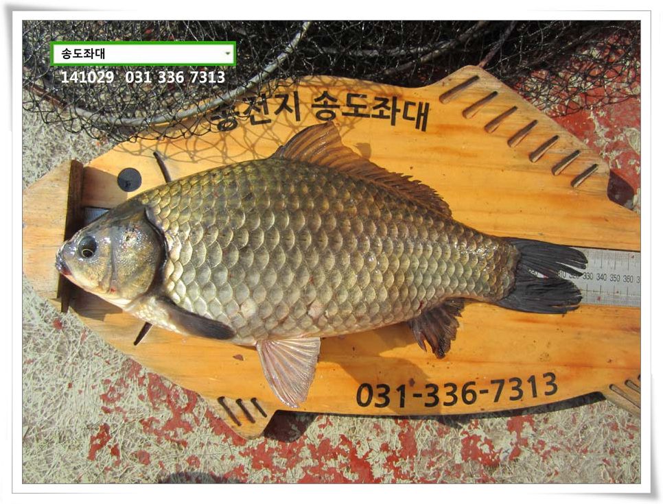 IMG_0007.JPG copy.jpg