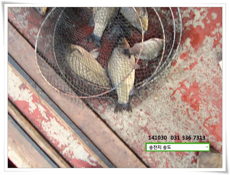 IMG_0012.JPG copy.jpg