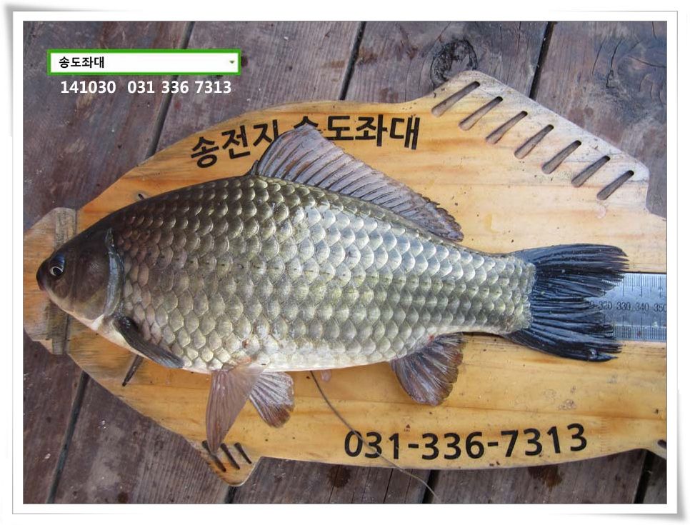 IMG_0020.JPG copy.jpg