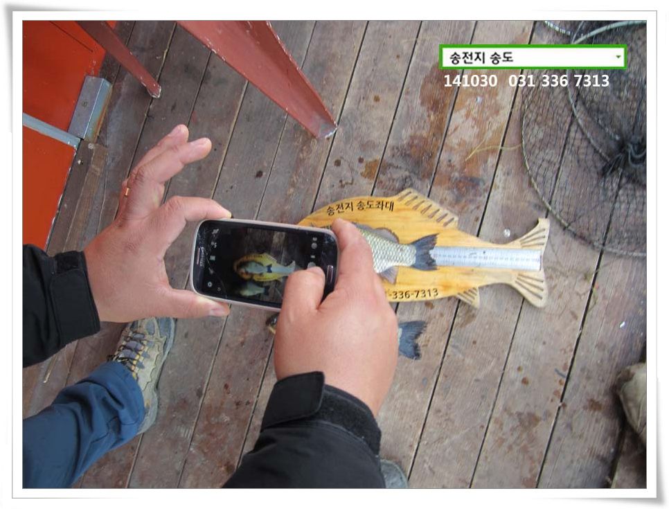 IMG_0022.JPG copy.jpg