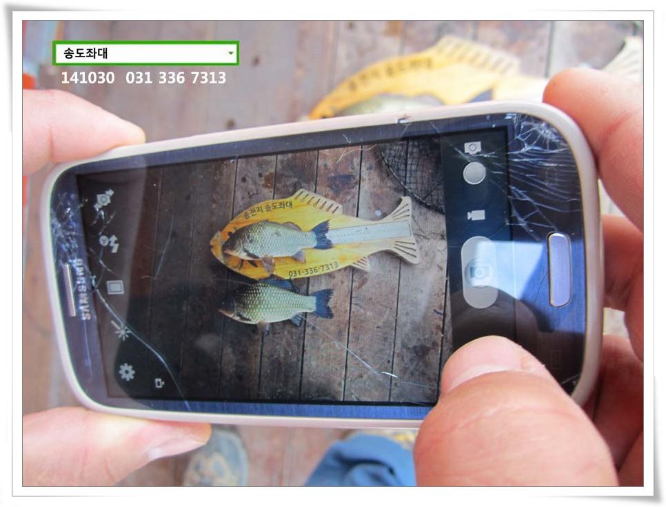 IMG_0024.JPG copy.jpg