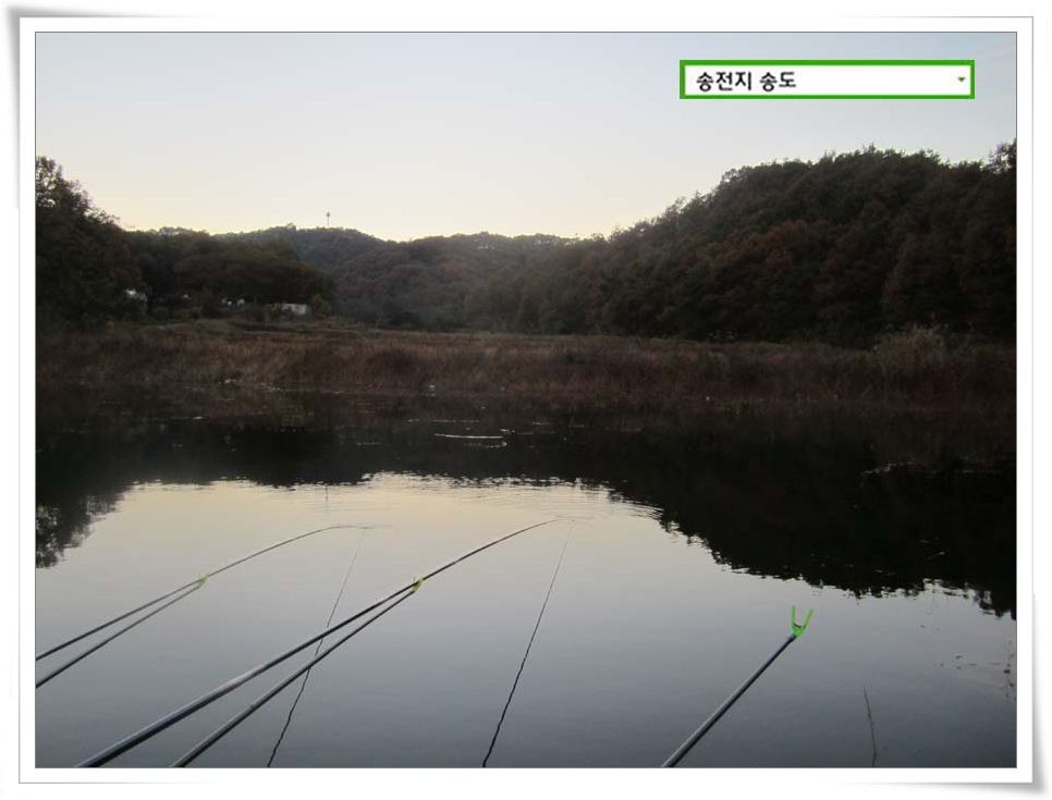 IMG_0034.JPG copy.jpg