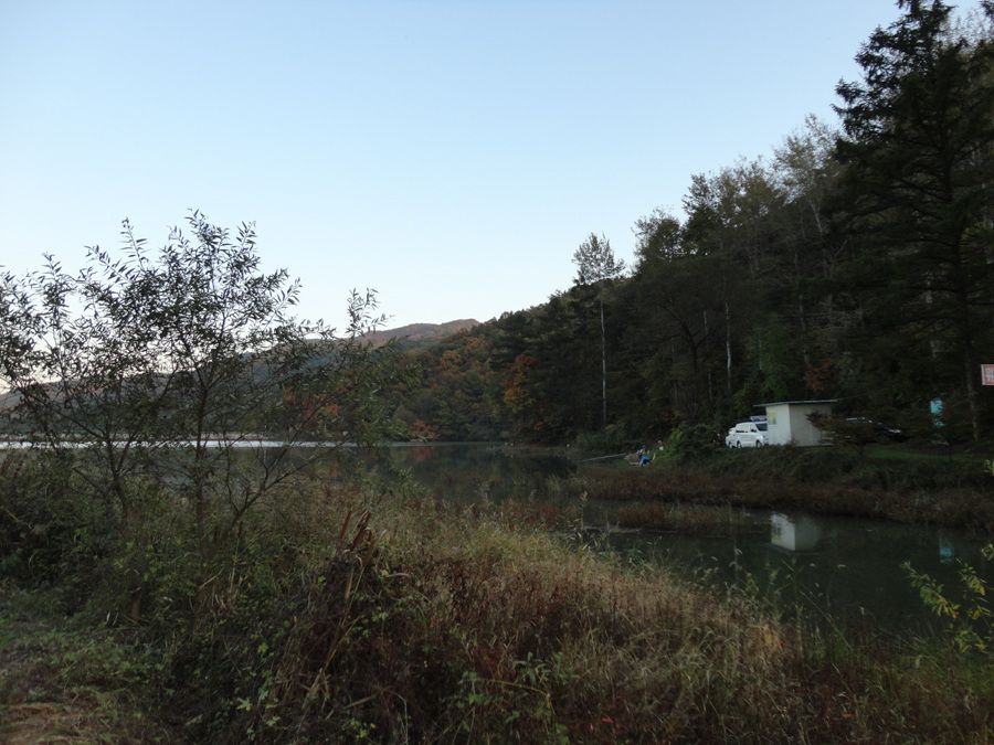 DSC01883.jpg