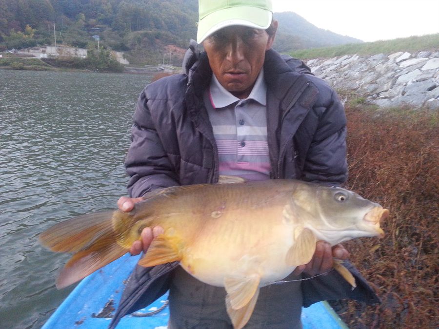 20141028_174115.jpg