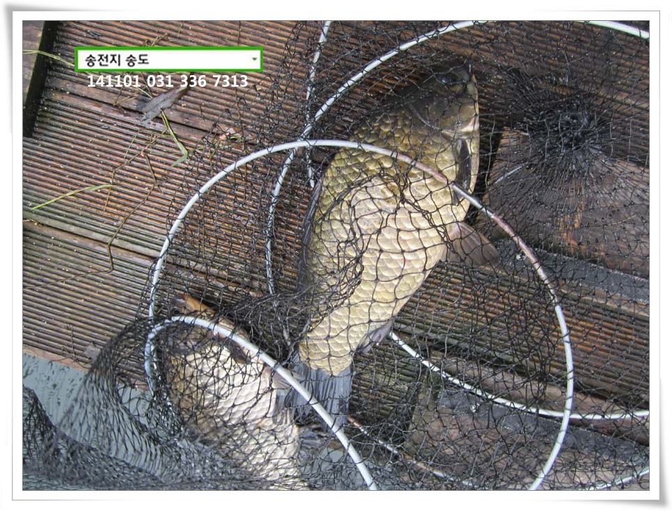 IMG_0003.JPG copy.jpg