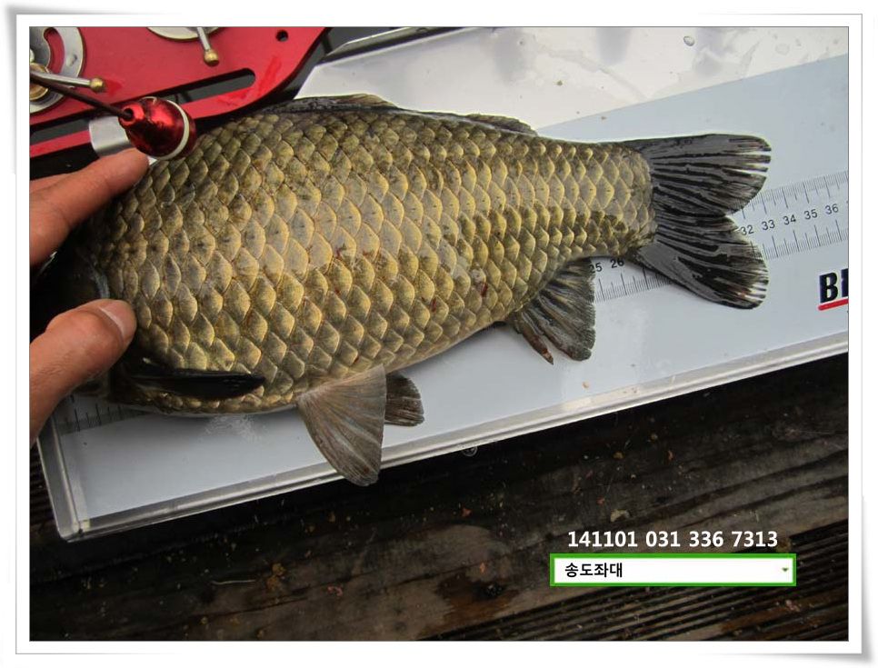 IMG_0004.JPG copy.jpg