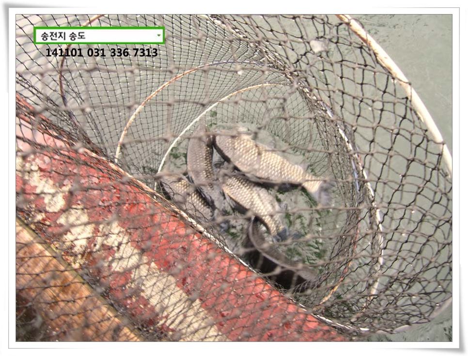 IMG_0010.JPG copy.jpg