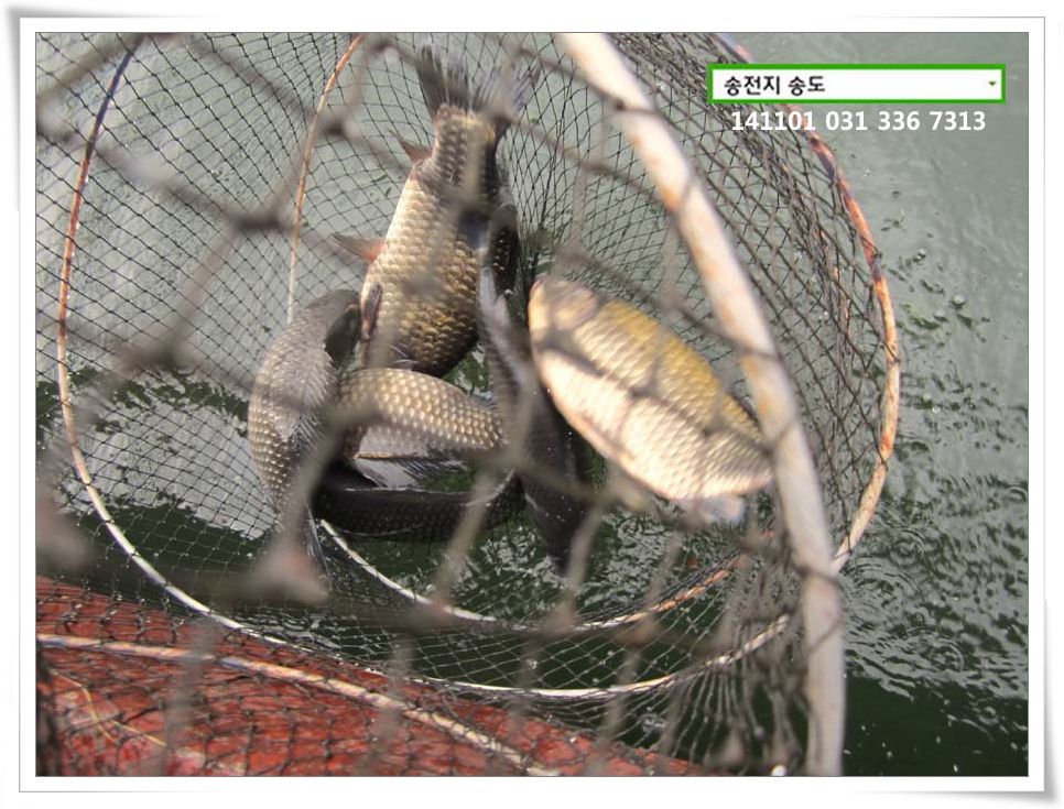 IMG_0013.JPG copy.jpg