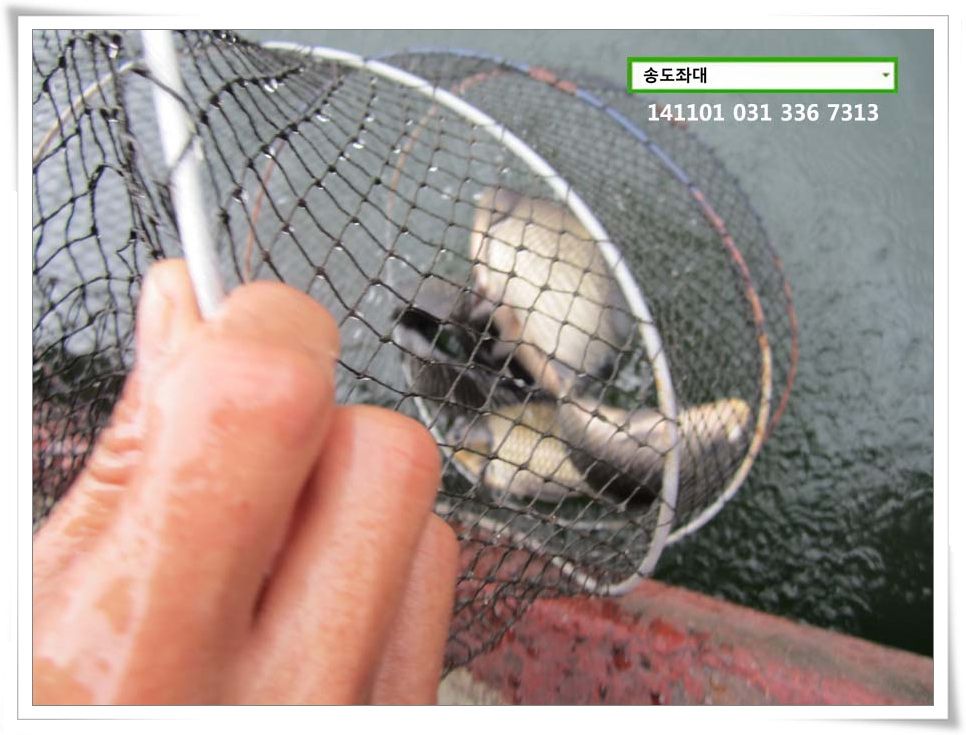 IMG_0012.JPG copy.jpg