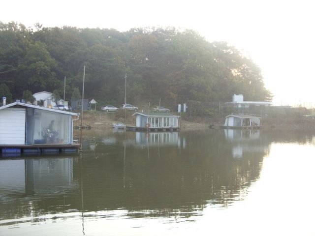 t 003.JPG