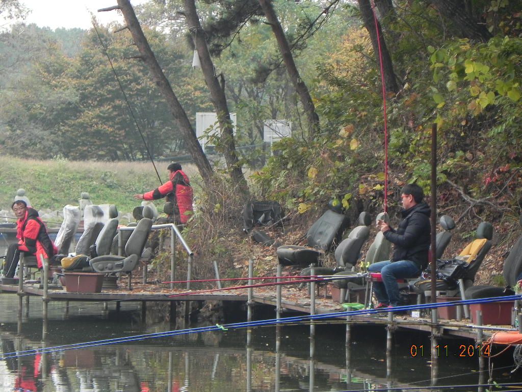 DSCN0706.JPG