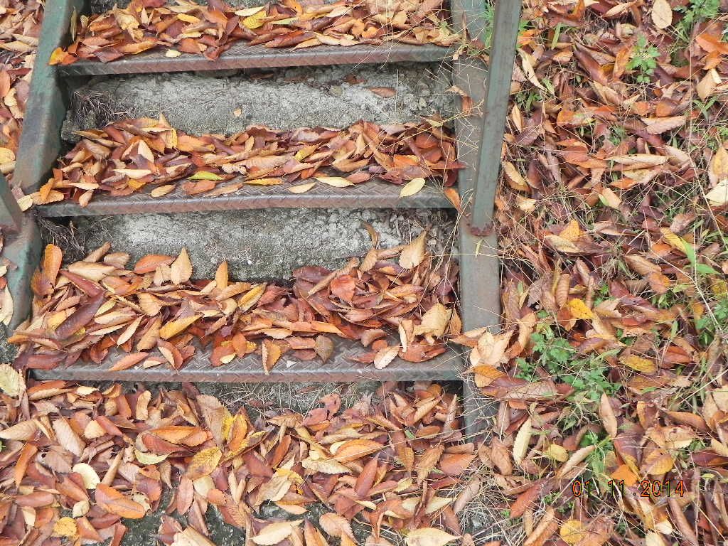 DSCN0709.JPG
