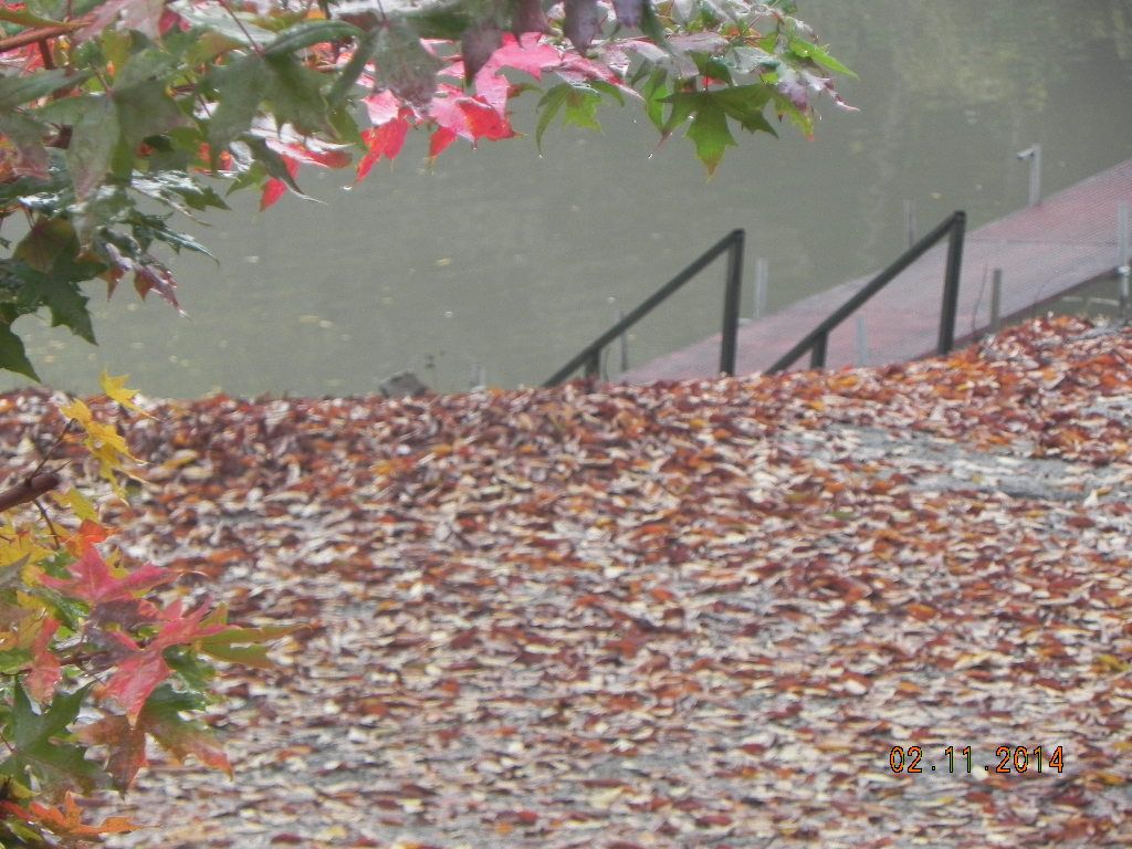 DSCN0710.JPG