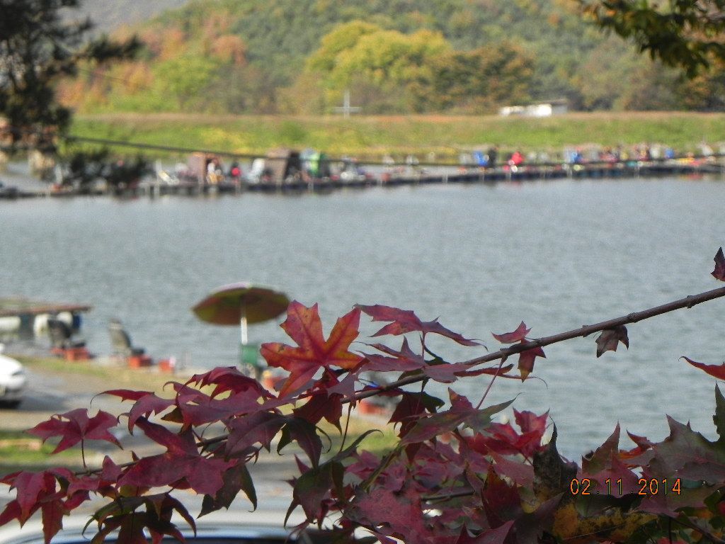 DSCN0713.JPG