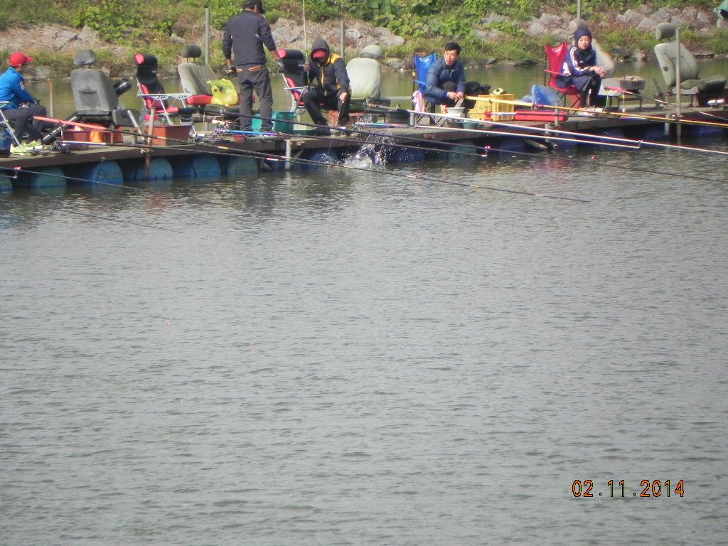 DSCN0714.JPG