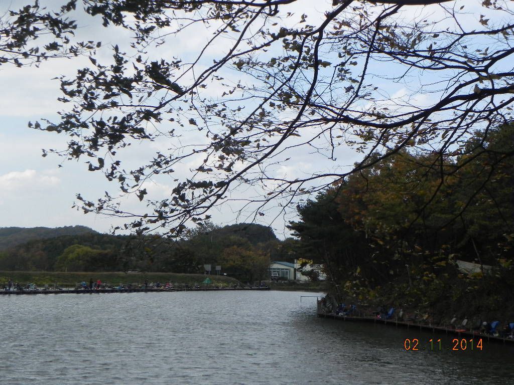 DSCN0717.JPG