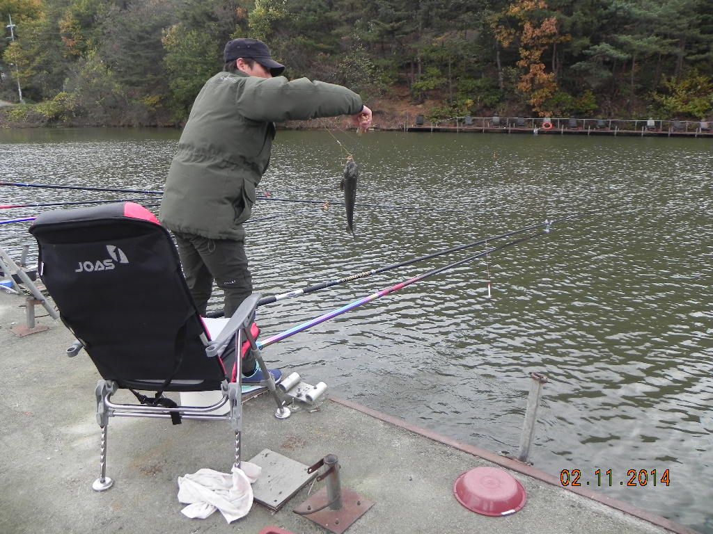 DSCN0723.JPG