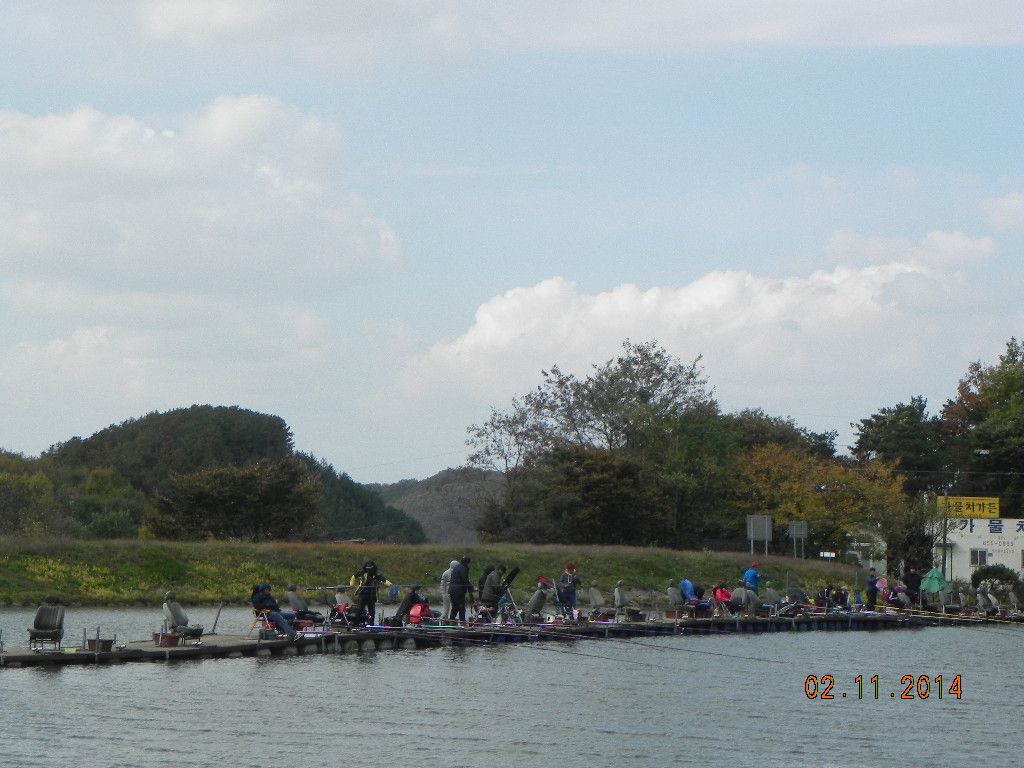 DSCN0729.JPG