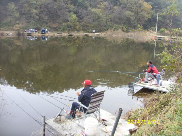 SDC16836.jpg