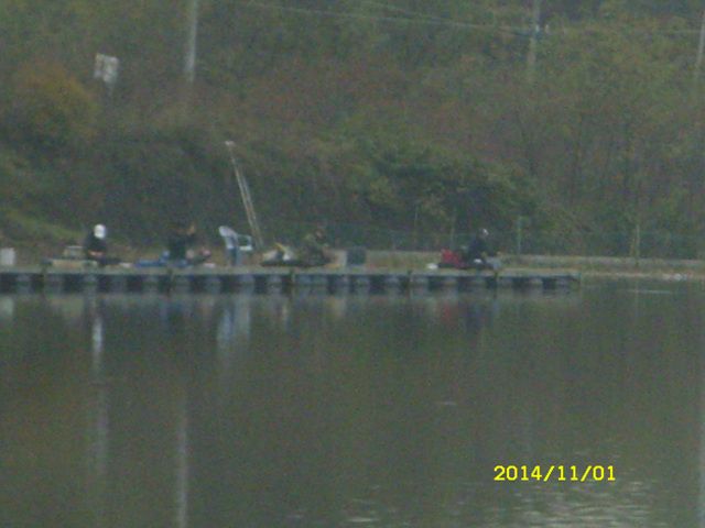 SDC16851.jpg