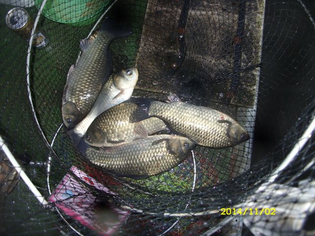 SDC16861.jpg