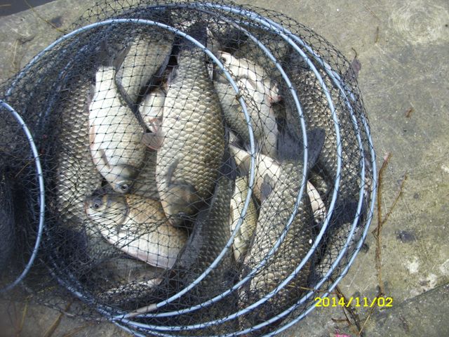 SDC16868.jpg