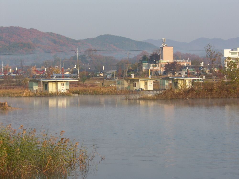 SH109768.JPG