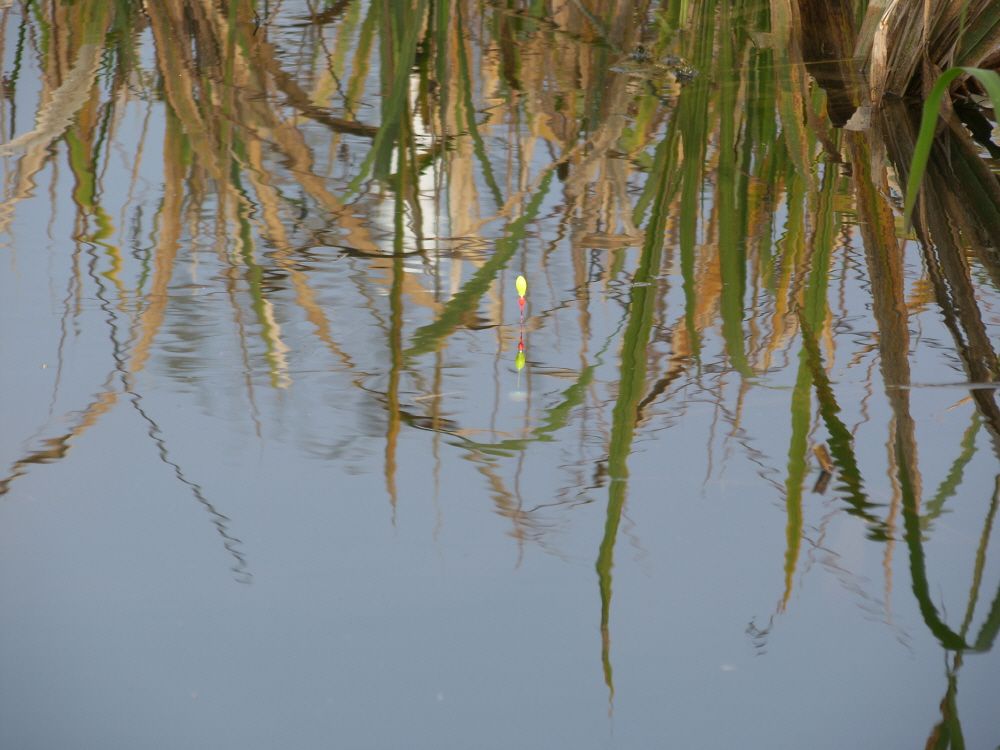 SH109776.JPG