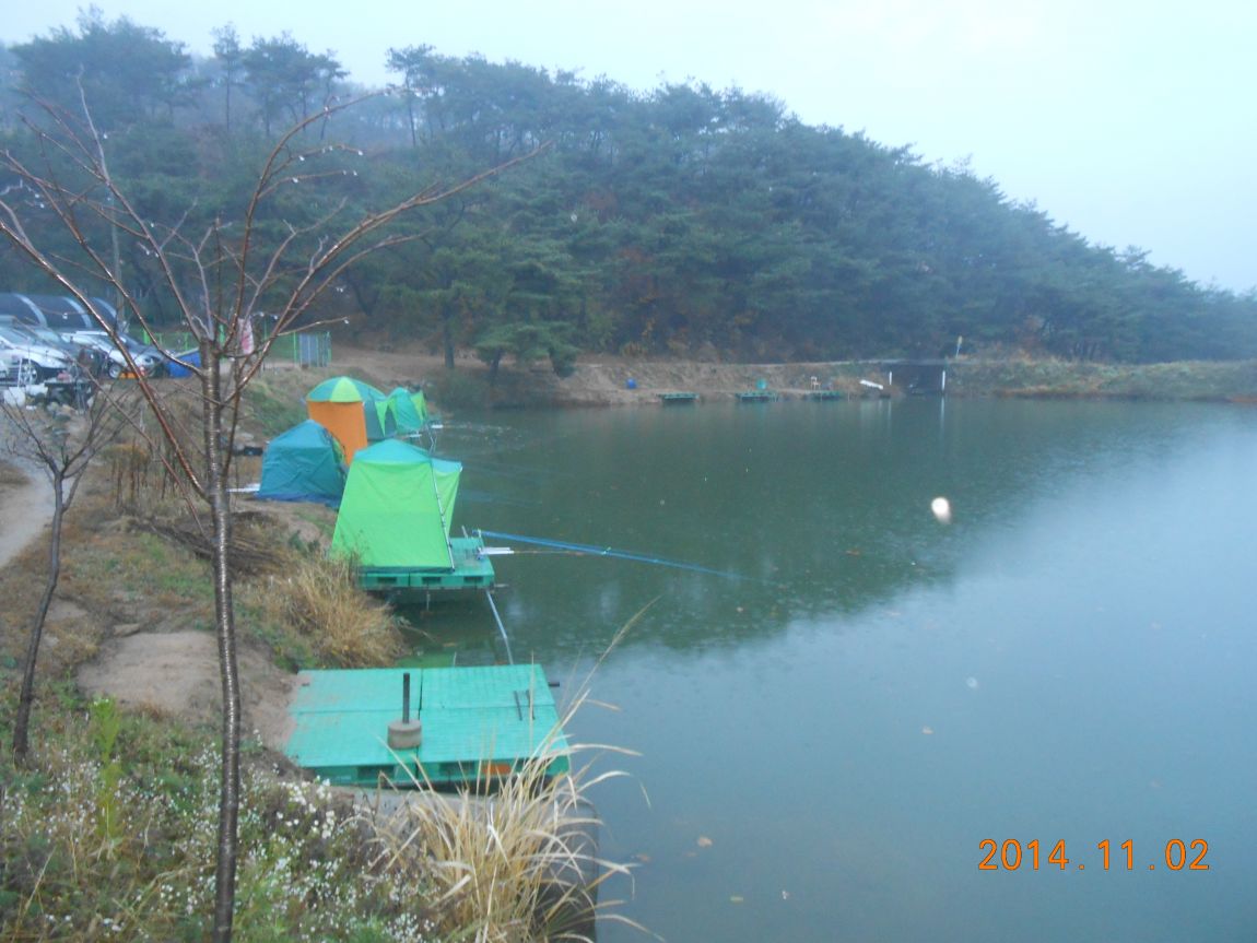 DSCN2649.JPG