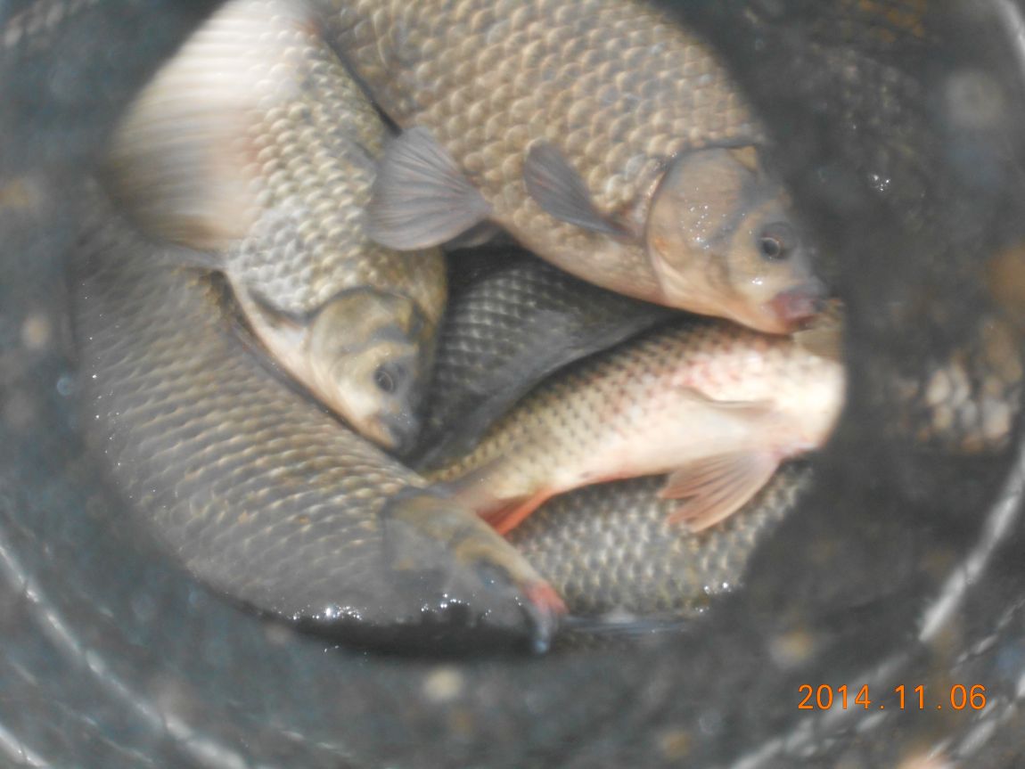 DSCN2672.JPG