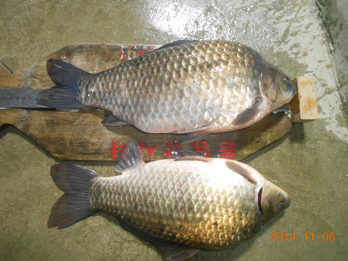 DSCN2676.JPG