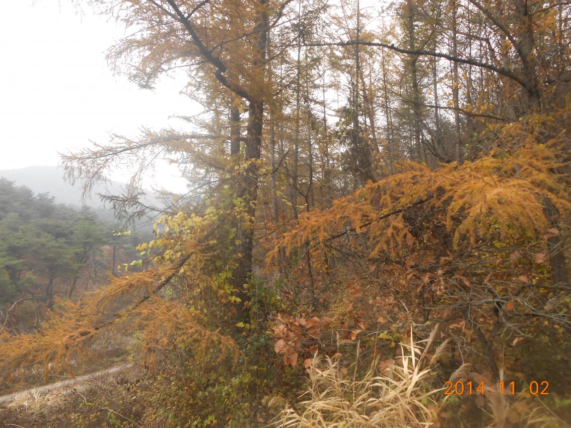 DSCN2667.JPG
