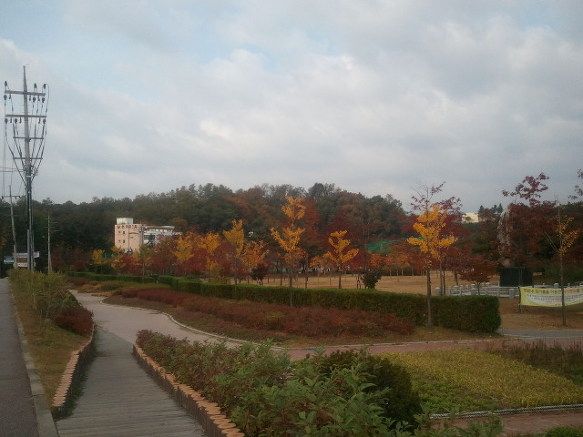 2012-10-24_08_56_31.jpg