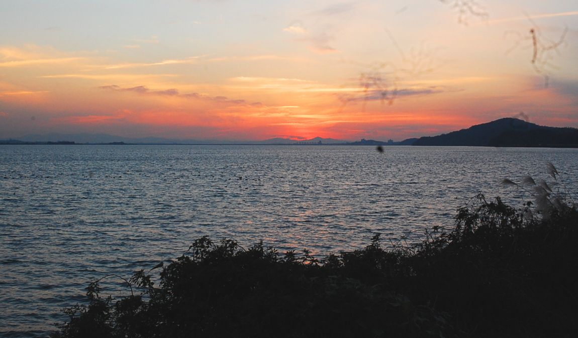 �ٹ̱�_DSC_0066.JPG