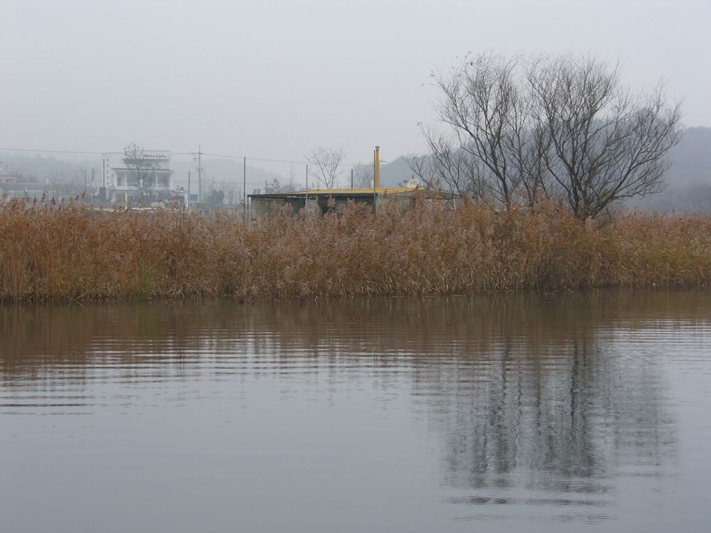 SH109803.JPG