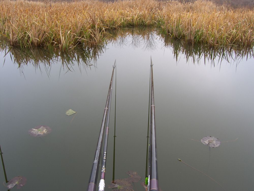 SH109820.JPG
