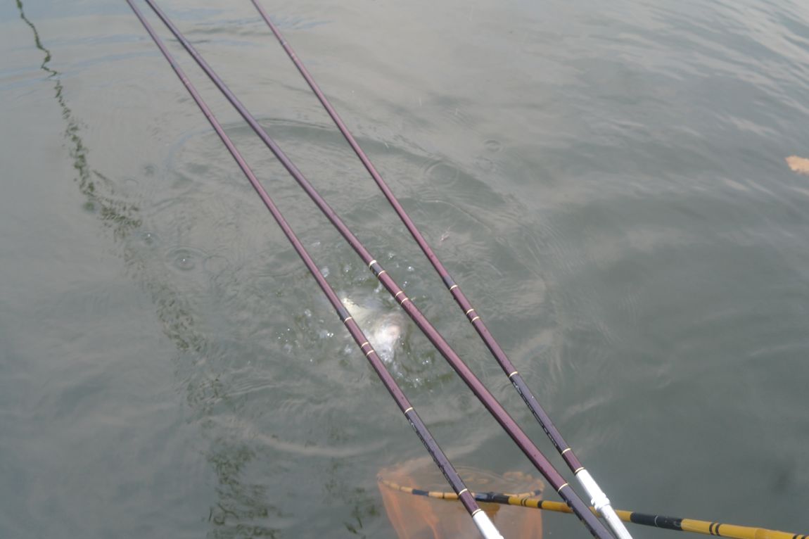 SAM_9900.JPG